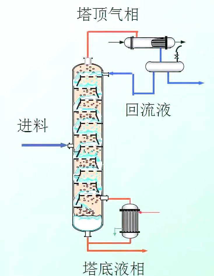 1753446913959458.jpg 圖片3.jpg